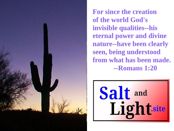 Arizona Sunset photo with Romans 1:20