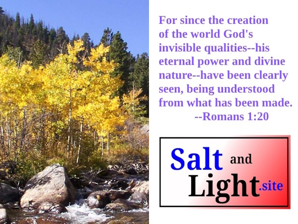 Aspen Trees in Autumn photo with Romans 1:20