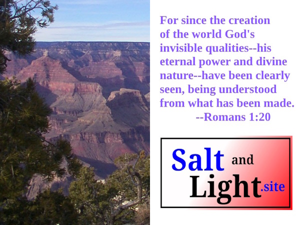 Grand Canyon National Park photo with Romans 1:20