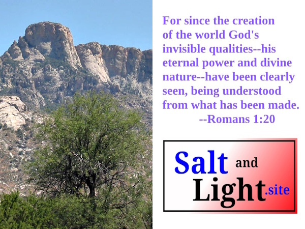 Arizona's Catalina State Park photo with Romans 1:20