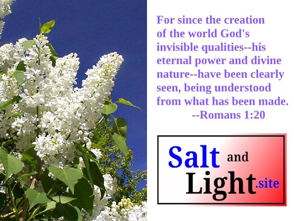 Lilacs photo with Romans 1:20