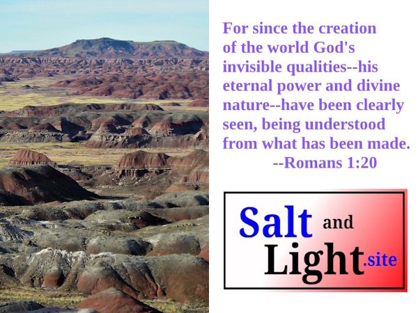 Painted Desert with Romans 1:20