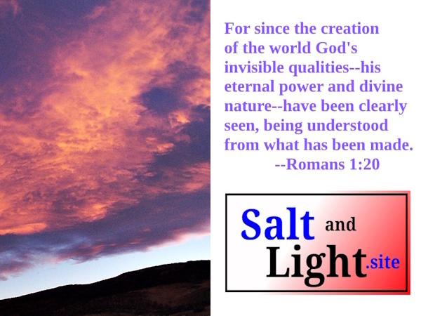 Pink Cloud Sunsets photo with Romans 1:20