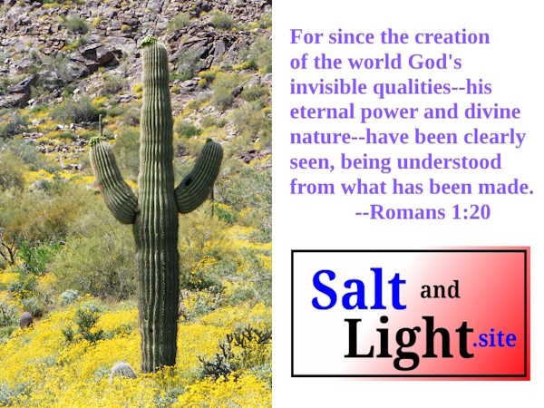 White Tank Mountain Regional Park photo with Romans 1:20