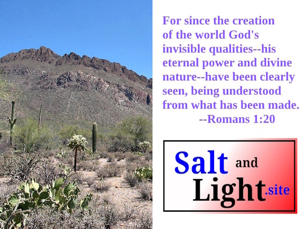 Tucson Mountain Park photo with Romans 1:20