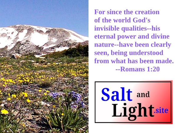 Mountain Wildflowers photo with Romans 1:20