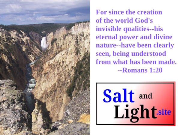 Yellowstone Canyon with Romans 1:20