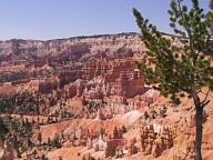 Bryce Canyon National Park thumbnail