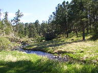 Custer State Park Black Hills South Dakota