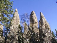 Custer State Park Black Hills South Dakota