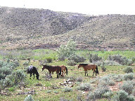 Bighorn Canyon National Recreation Area thumbnail
