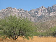 Catalina State Park thumbnail