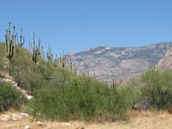 Catalina State Park thumbnail