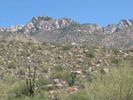 Catalina State Park thumbnail
