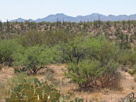 Catalina State Park thumbnail