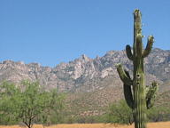 Catalina State Park thumbnail