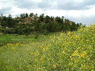 Castlewood Canyon State Park thumbnail