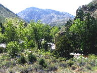 Cache La Poudre Wild and Scenic Byway thumbnail