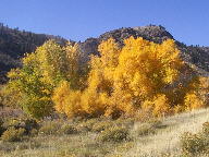 Cache La Poudre Wild and Scenic Byway thumbnail