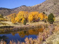 Cache La Poudre Wild and Scenic Byway thumbnail