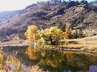 Cache La Poudre Wild and Scenic Byway thumbnail