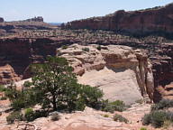 Canyonlands National Park thumbnail