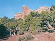 Canyonlands National Park