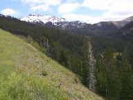 Colorado State Forest thumbnail