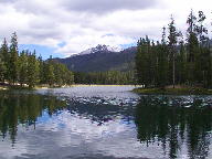 Colorado State Forest thumbnail