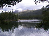 Colorado State Forest thumbnail