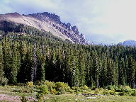 Colorado State Forest thumbnail