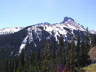 Colorado State Forest thumbnail