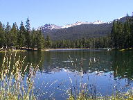 Colorado State Forest thumbnail
