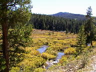 Colorado State Forest thumbnail