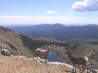 Mt. Evans Scenic Byway thumbnail
