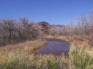 Jemez Mountain Trail Scenic Byway thumbnail