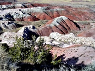 The Painted Desert in the Petrified Forest National Park photo thumbnail
