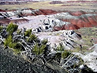 The Painted Desert in the Petrified Forest National Park photo thumbnail