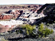 The Painted Desert in the Petrified Forest National Park photo thumbnail