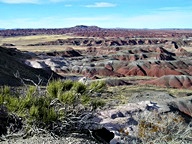 The Painted Desert in the Petrified Forest National Park photo thumbnail