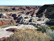 The Painted Desert in the Petrified Forest National Park photo thumbnail