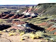 The Painted Desert in the Petrified Forest National Park photo thumbnail