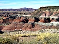 The Painted Desert in the Petrified Forest National Park photo thumbnail