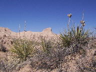 Pawnee Buttes, Colorado thumbnail
