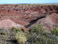 Painted Desert at Petrified Forest National Park thumbnail