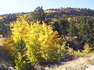 Peak to Peak Scenic Byway thumbnail