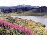 Rabbit Ears Pass thumbnail