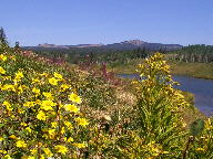 Rabbit Ears Pass thumbnail