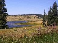 Rabbit Ears Pass thumbnail