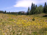 Rabbit Ears Pass thumbnail